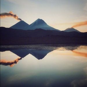 Meet your Posher, Bridget